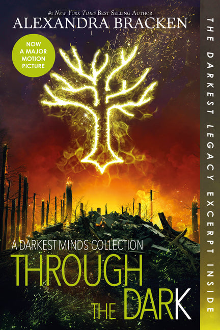 Through the Dark (Bonus Content)-A Darkest Minds Collection - Ingram