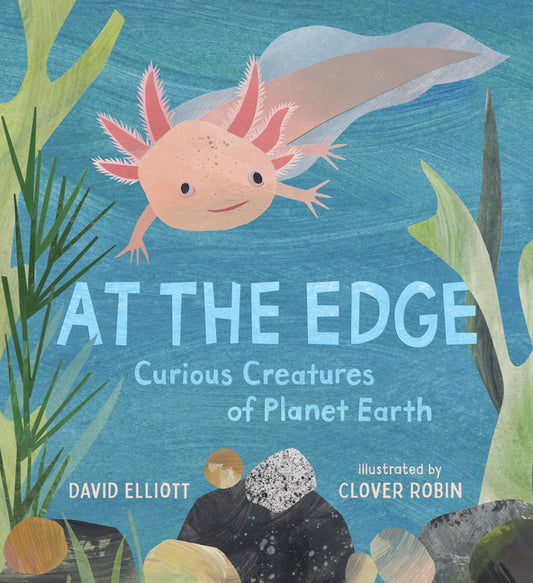 At the Edge: Curious Creatures of Planet Earth - Ingram